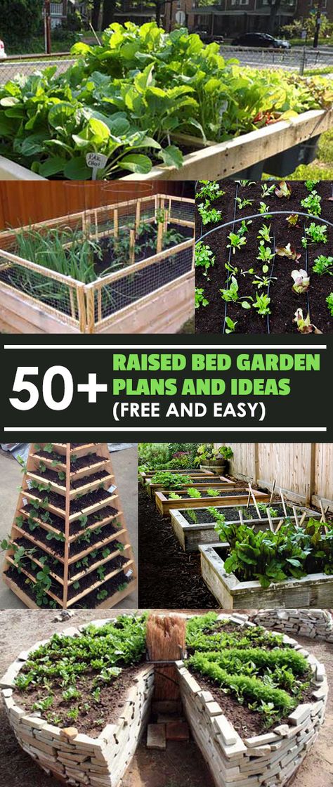 These raised bed garden plans are free, do-it-yourself, and don't cost much in materials to make! Organized by small - medium - large, and unconventional. Raised Bed Garden Layout, Bed Layout, Garden Bed Layout, Raised Bed Garden, Vegetable Garden Raised Beds, Garden Layout Vegetable, Garden Plans, Raised Bed, Garden Care