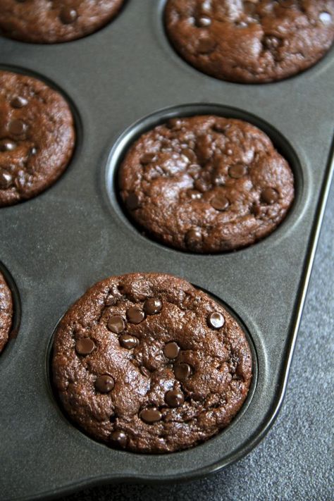 Chocolate Zucchini Cookies, Healthy Chocolate Zucchini Bread, Zucchini Shredded, Best Moist Chocolate Cake, Chocolate Zucchini Cake Recipe, Zucchini Pommes, Chocolate Zucchini Brownies, Muffins Blueberry, Zucchini Cakes Recipe