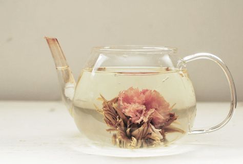 Flowering Tea, Strawberry Tea, Blooming Tea, Glass Teapot, Wild Hunt, My Cup Of Tea, Rose Tea, Flower Tea, Elle Fanning