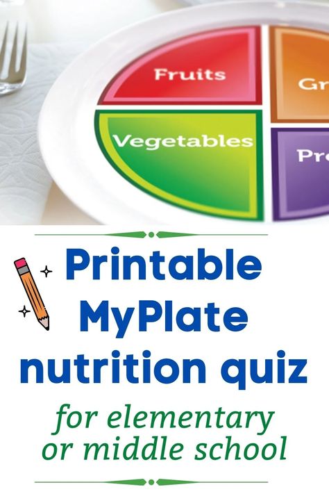 Printable Choose MyPlate nutrition quiz to reproduce and handout to your students. 16 questions and answer key. Health Beet, Nutrition Plate, Five Food Groups, School Nutrition, Canned Fruits, Nutrition Classes, My Plate, Vegetable Protein, Protein Diets