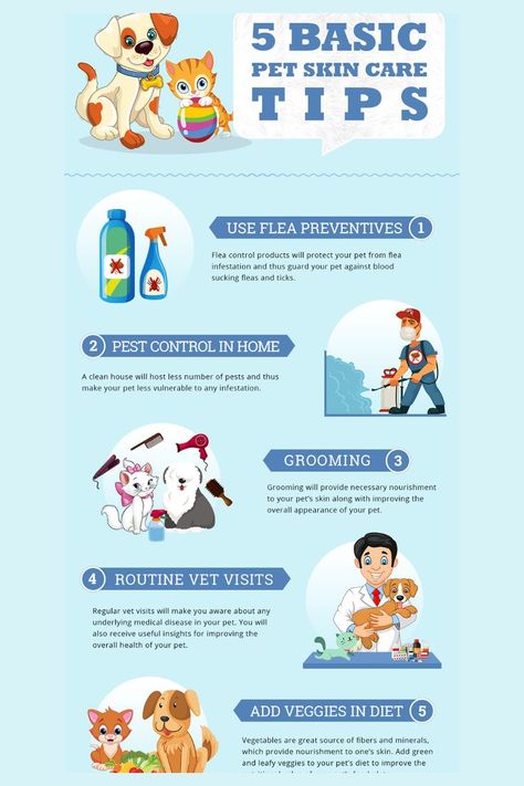 5 basic pet skincare tips #pet skincare #pet skin #pet skincare home remedies #skincare pets Skincare Home Remedies, Skin Care Home Remedies, Flea Infestation, Flea Control, Dog Health Tips, The Best Skin Care, Skin Care System, Pet Care Tips, Flea And Tick