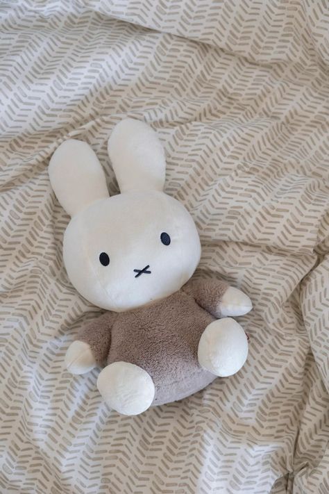 Miffy Soft Toy, Cute Squishies, Big Hug, Cuddly Toy, Cute Stuffed Animals, Cute Little Things, Soft Toys, Cute Plush, Soft Toy