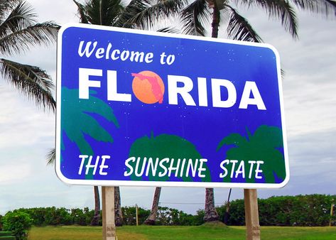 Florida Tourism, Ella Enchanted, Florida Sunshine, State Signs, Moving To Florida, Tourism Industry, Facts For Kids, Beach Signs, State Of Florida