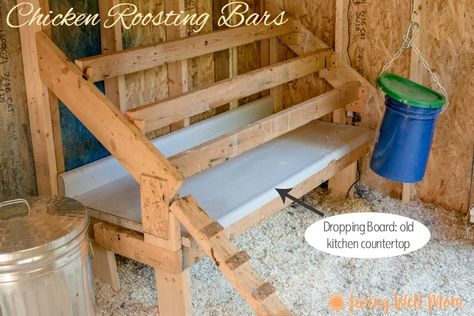 Chicken Husbandry, Chicken Roosting Bars, Roosting Bars, Chicken Roost, Chicken Barn, Urban Homestead, Portable Chicken Coop, Chicken Pen, Diy Chicken Coop Plans