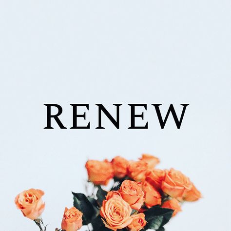 Renew Word Of The Year, Renew Quotes Motivation, Renewed Mind Quotes, Renew Quotes, Romans 12:2, Mindfulness Board, Renewal Quotes, Beautiful Flower Quotes, Renew Your Mind