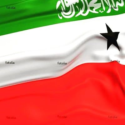 Somaliland Flag Somaliland Flag, Happy Love Quotes, Wrestling Divas, Beach Photography Poses, Flag Design, Anime Background, Beach Photography, Photography Poses, Wrestling