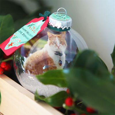 DIY Cat Ornaments You Can Make This Christmas! – Meow As Fluff Cat Diy Ornament, Cat Ornaments Diy Homemade Christmas, Diy Cat Ornaments Christmas, Diy Cat Ornaments, Cat Ornaments Diy, Diy Photo Ornaments, Diy Cat Food, Homemade Christmas Ornaments Diy, Diy Hello Kitty