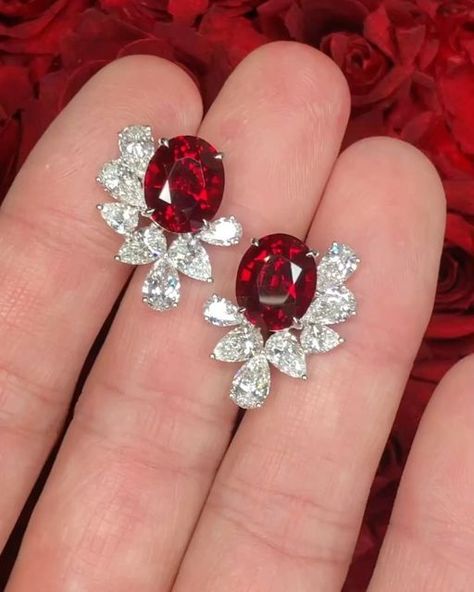 Wendy-Ruif on Instagram: "Total 11.04ct lab grown ruby earrings❤️❤️❤️ Center Stone:11.04ct lab grown ruby Said stone:4.915ct lab grown diamond Metal:PT950  Can do 18k 14k 10k and 9k gold or 925sliver  Popular simple design, suitable for daily wear and party gift.   Welcome to custom your own dream jewelry at best price   #labgrowndiamonds  #labdiamondring #labdiamondjewelry  #aliexpress#ruifjewelry#jewelry #jewelrymaking#gift#smile #gemstone#loosestone #jewelrydesigner #jewelrymaker #jewelrymaking #ringmaker #gemstonesale #gemstonejewellery #shipping #onlineshopping#finegems #diyjewellery#jewelrydiy  #weddingdiamond #weddingjewellery  #cvd #cvddiamond  #diamondearrings #goldearrings" Ruby Earing Designs, Rubies Earrings, Ruby Jewelry Earrings, Diamond Necklace Designs, Colour Stone, Ear Ring, Cvd Diamond, Ruby Earrings, Ruby Jewelry