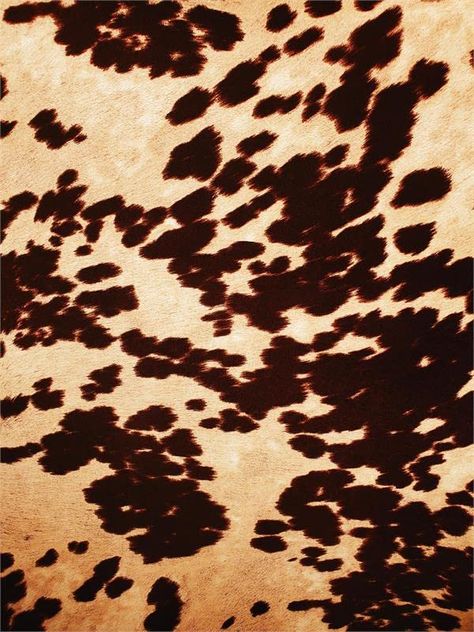 RusticDesignsKY's Amazon Page Simple Symbols, Cow Print Fabric, Cowhide Fabric, Senior Thesis, Fabric Empire, Duck Cloth, Hair Cover, Cream Fabric, March 2024