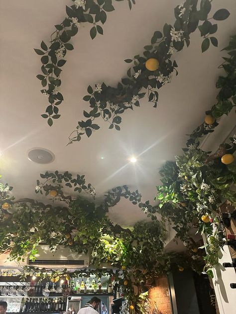 Flower Vine Ceiling Bedroom, Fake Ivy On Curtains, Leaves Room Decor Ceiling, Moss Ceiling Bedroom, Bedroom Ceiling Ideas Aesthetic, Flower Vine Bedroom, Vibes Hanging From Ceiling, Vibes On Ceiling Bedroom, Hanging Room Decor Ceilings