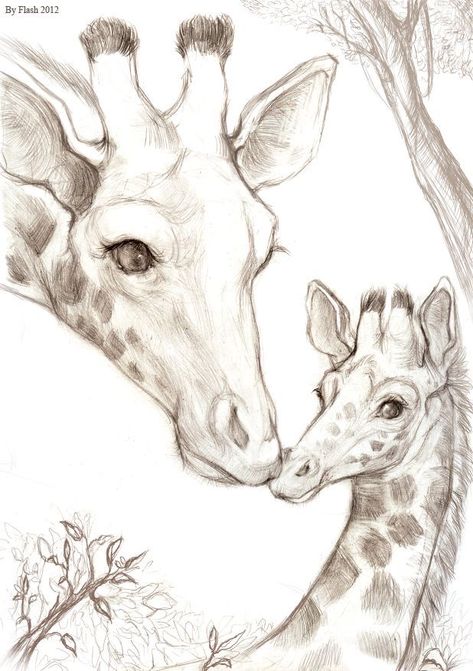 Giraffe Sketch, Elephant Sketch, Realistic Animal Drawings, Giraffe Drawing, Giraffe Painting, Pencil Drawings Of Animals, Animal Drawings Sketches, Nature Sketch, Giraffe Art