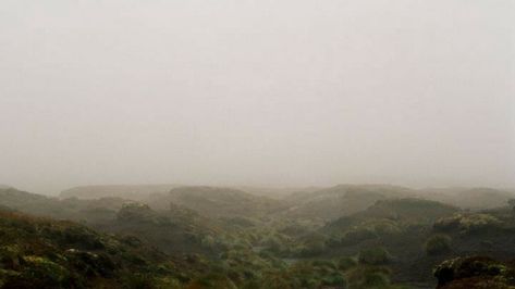 Please Stop Using This Emily Brontë Quote as if it is Romantic (It’s Not) | by Ashlee R. Phillips | Medium Wuthering Heights 2011, Andrea Arnold, Wuthering Heights Quotes, Height Quotes, Emily Bronte Quotes, Shane Meadows, Seek And Destroy, American Honey, Dystopian Fiction