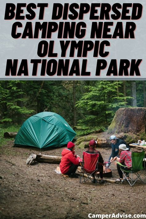 In this article, I have listed 8 Best Dispersed Camping near Olympic National Park in Washington state. These free camping in olympic peninsula is beautiful. Olympia National Park, Olympic National Park Camping, Washington Adventures, Olympic Peninsula Washington, Washington Camping, Rv Boondocking, Camping In Washington State, Dispersed Camping, Seattle Trip