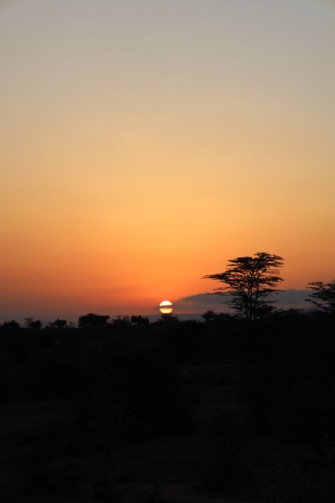 Sunrise in the Masai Mara. Kenya great migration. Great Migration, Masai Mara Kenya, Masai Mara, Dream Vacations, Tanzania, Kenya, Road Trip, Road, Disney