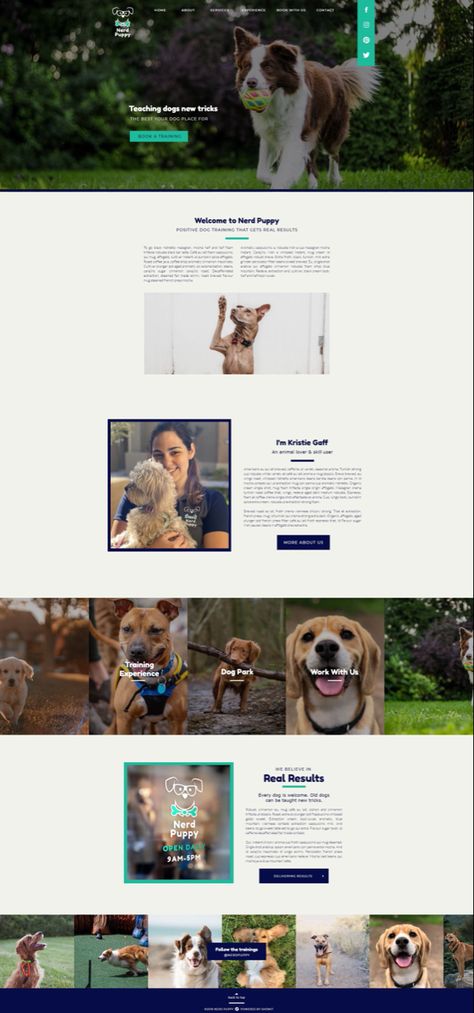 Nerd Puppy website design Dog Training Website Design, Positive Reinforcement Dog Training, Website Aesthetic, Therapy Dog Training, Training Design, Positive Dog Training, Pet Businesses, Digital Experience, Dog Adventure