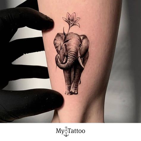 Elephant And Bird Tattoo, Elephant Tattoos On Wrist, Women Elephant Tattoo, Cute Elephant Tattoos For Women, Black Elephant Tattoo, Elephant Trunk Up Tattoo, Elephant Face Tattoo, Elephant Tattoo Design For Women, Tattoo Ideas Female Elephant