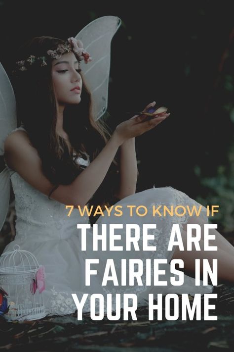 Fairies In Your Home| 7 Signs Fairies Are Near You Fairy Circle Meaning, Spiritual Meaning Of Fairies, Fairy Lore Legends, Real Fairy Pictures, Books About Fairies, Are Fairies Real, Fairy Offerings, Water Fairies, Fairy Lore