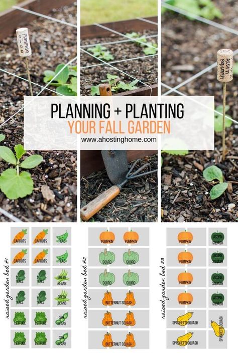 Planning and Planting Our Fall Garden / ahostinghome.com // fall garden, fall gardening, fall garden flowers, fall garden vegetables, fall garden ideas, fall garden georgia, fall garden texas, fall garden landscape, fall garden in the south, fall garden zone 7, fall garden september, fall garden bed, fall garden raised bed, fall garden layout, fall garden design, fall garden tips, fall garden preparation, fall garden inspiration, fall garden for beginners, fall garden planting Fall Garden Preparation, Fall Garden Planting, Georgia Fall, Garden Preparation, September Fall, Tattoo Plant, Fall Gardening, Backyard Garden Layout, Garden Layout Vegetable