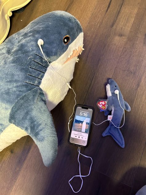 Scott street 
Sharks 
BLÅHAJ
Phoebe Bridgers 
Stranger in the alps
Music Shark With Headphones, Cute Shark Things, Cute Shark Stuff, Ikea Shark Plush, Shark Matching Pfp, Blahaj Shark, Sharks Cute, Stuffed Shark, Silly Sharks