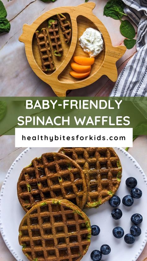 Are you looking for some ideas to add spinach to your kid's diet or have you had enough of the plain old simple waffles? Try my easy-to-make spinach waffles! They don't have any sugar or salt, making them a great choice for babies that follow the BLW method and are also delicious for older kids and adults. Spinach Waffles For Baby, Blw Blueberry Pancakes, Blw Spinach Muffins, Spinach Waffles, Spinach Blw, Banana Spinach Pancakes Baby, Salt Making, Frozen Waffles, Kids Diet