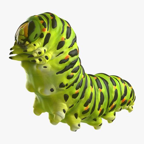 Caterpillar Art, Real Model, 3ds Max Models, Bugs And Insects, Ink Pen Drawings, Creature Art, Low Poly, 3ds Max, Motion Design