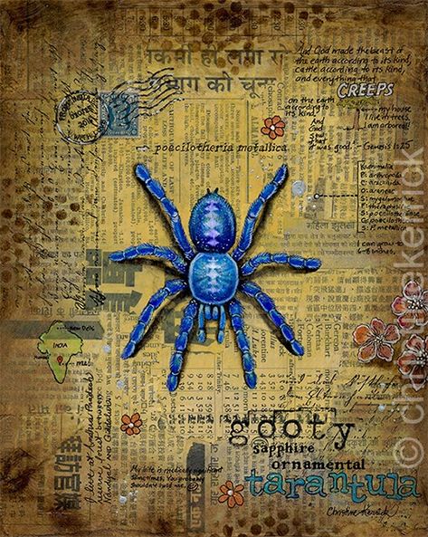 Tarantula Painting, Sapphire Tarantula, Tarantula Drawing, Blue Tarantula, Forensic Artist, Spider Drawing, Spiders, Brilliant Colors, Animal Art