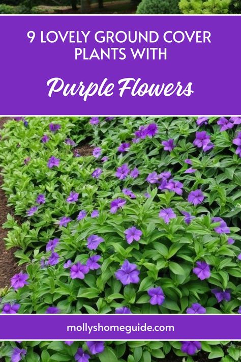 Discover the beauty of ground cover plants with purple flowers for your garden. Low-maintenance and stunning, these purple flowering groundcovers like Creeping Phlox and Bugleweed add a pop of color effortlessly. Consider incorporating fast-growing options such as Vinca Minor (Lesser Periwinkle) to create a lush landscape full of lovely shades. Explore landscaping ideas with these beautiful ground cover plants to elevate the look of your outdoor space. Shade Loving Ground Cover, Lesser Periwinkle, Plants With Purple Flowers, Ground Cover Plants Shade, Low Growing Ground Cover, Purple Perennials, Purple Flowering Plants, Vinca Minor, Small Purple Flowers