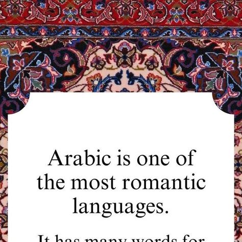 ‎Poetry & Gahwa شِعر و قَهوة‎ on Instagram‎: "Arabic is one of the most romantic languages. It has at least 11 words for love and each of them conveys a different stage in the process of falling in love.

Here are some expressions of love in Arabic…

1/ Habibi or Habibti (حبيبي/حبيبتي)

‎In Arabic, habibi (masculine) and habibti (feminine) means “my love”. Arabs use this as the most common expression of love - for friends, family, and sometimes, even strangers.

2/ Rohi (روحي)

‎Rohi means “my soul mate”. So calling someone rohi means you’ll love them a lot longer than your life - for eternity.

3/ Hayati (حياتي)

‎A beautiful word which means my life. The addresse is supposed to so special or be very dear to the speaker. 

4/ Eayni (عيني)

‎Meaning my eyes. Eyes are considered to be a tre My Love In Different Languages, Love In Different Languages, Words For Love, Love In Arabic, Expressions Of Love, Beautiful Word, Learn Arabic, Soul Mate, In Arabic