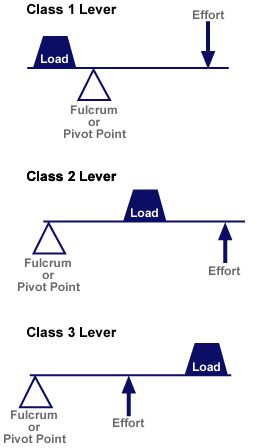 Diagram of three classes of levers Inventor Workshop, Simple Machines Activities, Simple Machine Projects, Science Art Projects, Cells Project, Kebab Skewers, Physics Classroom, Physics Formulas, Shish Kebab