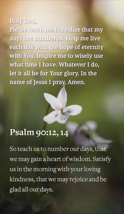 Psalms 90:12,14 Psalm 90:12, Psalms 51, Psalm 90, Psalm 90 12, Prayer For Wisdom, Hymns Lyrics, Rejoice And Be Glad, Gods Love Quotes, Navigating Life