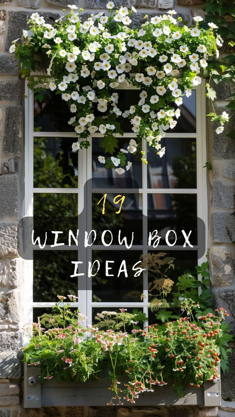 Boost Your Home's Curb Appeal! Click To Explore 19 Stunning Window Box Ideas That Bring Color And Life To Your Windows. 🌺🏡 #CurbAppeal #WindowBoxes #GardenInspiration #ExteriorDesign #PlantLove Brownstone Window Boxes, Window Box Exterior, Evergreen Window Box Ideas, Diy Window Planter, Window Ledge Ideas, Flower Box Window, Diy Window Boxes, Window Garden Ideas, Window Boxes Ideas