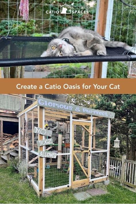 At Catio Spaces, we love seeing the creations of cat parents who use our DIY Catio Plans to build a catio of their dreams. Meet one cat mom and two rescued feral cats living their dream in their own Oasis DIY Catio plan and tunnel! Diy Catio Plans Free, Catio Plans, Autumn Crochet, Dog House Bed, Cat Patio, Cat Parents, Cat Things, Cat Enclosure, Cat Parenting