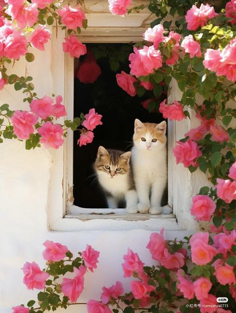 Cute Little Kittens, Cat Flowers, Cute Animals Images, Cat Aesthetic, Cute Animal Photos, Cute Cats And Dogs, Silly Cats, Cat Painting, Pretty Cats