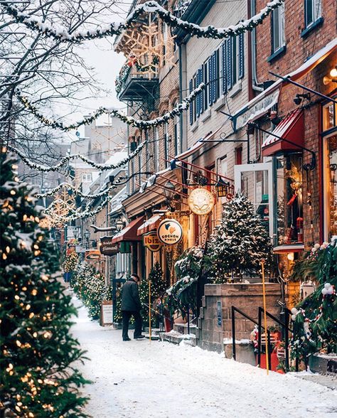 Sherbrooke Quebec, December Wallpaper, Christmas Wallpaper Free, Christmas Wallpaper Backgrounds, Christmas Scenery, Christmas Town, Winter Scenery, Quebec City, Christmas Scenes