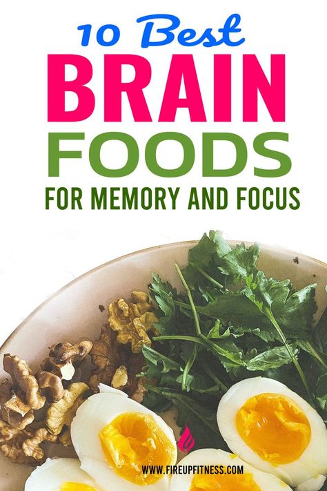 10 Best Brain Boosting Foods for Memory and Focus Foods For Memory, Brain Food Memory, Brain Food For Studying, Foods That Improve Memory, Food For Memory, Improve Brain Power, Good Brain Food, Focus Foods, Brain Healthy Foods