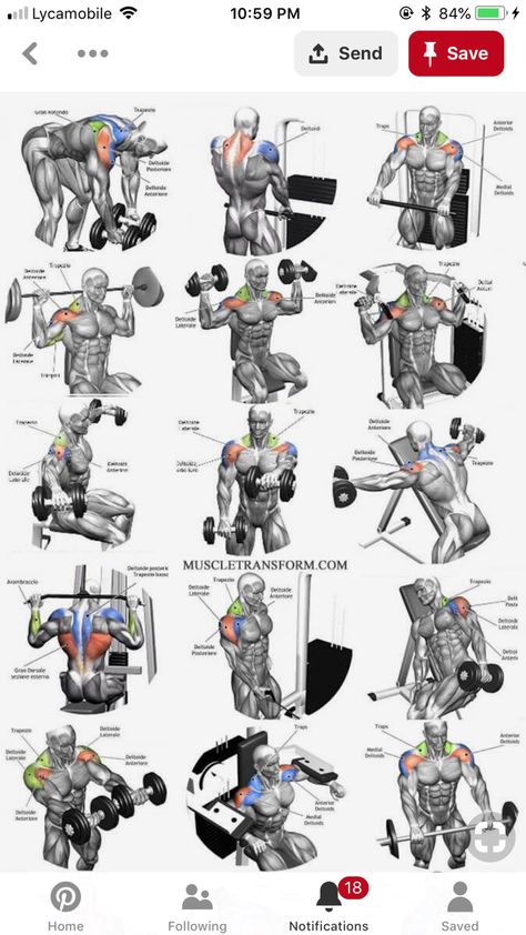 Garage Workout, Korean Diet Plan, Weight Lifting Program, Traps Workout, Shoulder Workouts, Leg Workouts Gym, Best Shoulder Workout, Gym Workout Planner, Bodybuilding Workout Plan