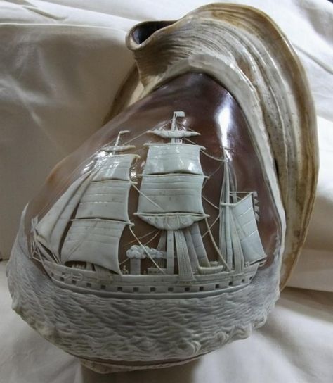 Carved Shell - Steam Ship - Antique Cameos Carved Seashells, Seashell Carving, Carved Gourds, Steam Ship, Cameo Jewelry, Vintage Nautical, Seashell Art, Carved Shell, Seashell Crafts