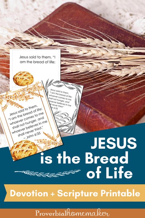 Scripture Bread Recipe, I Am The Bread Of Life Printable, I Am The Bread Of Life John 6:35, Bread Of Life Jesus Is The, Bread Of Life Craft Sunday School, I Am The Bread Of Life, Cooking Preschool, Seder Dinner, John 1 29