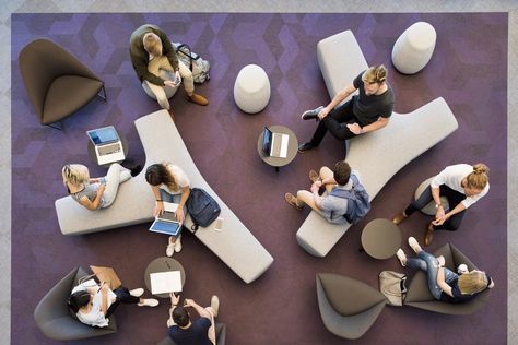 Gallery of Western Sydney University Parramatta Campus / Woods Bagot - 7 Woods Bagot, Lecture Theatre, Campus Design, Office Pods, Interior Fit Out, Flexible Space, Social Space, Blended Learning, Interior Concept