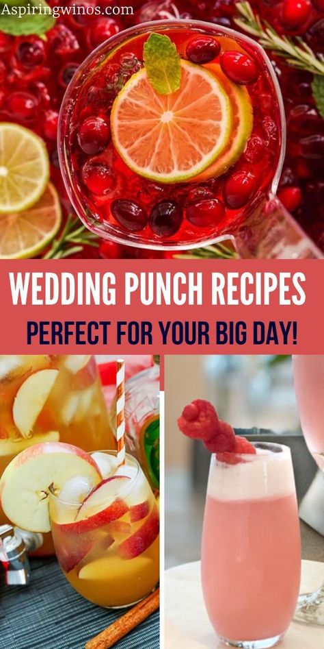 Wedding Punch Recipes | Sip in Style: Easy and Elegant Wedding Punch Recipes | Boozy Punch Recipes | Wedding season ideas | Wedding recipes you need to check out today | Sangria recipes perfect for your wedding #Punch #Wedding #WeddingSeason #WeddingRecipe #BoozyPunch #WeddingPunch Wedding Shower Punch Recipes, Wedding Punch Recipes Non Alcoholic, Boozy Punch Recipes, Wedding Shower Punch, Wedding Punch Recipes, Boozy Punch, Strawberry Lemonade Punch, Lemonade Punch Recipe, Wedding Recipes