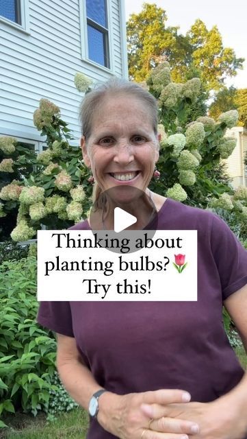 Jess Zander, The Garden Coach🌺 on Instagram: "The anticipation of all of those bulbs coming up helps me get through the winter in New England!🌷 When I first posted something on this a while back people were incredulous that you don’t have to plant them one at a time or pointing up. They find a way! This spring, many people commented that they tried it this way for the first time and it worked really well. Now they’re hooked. If you’ve never tried this before, go for it!

Get yours soon and check out Waysidegardens.com to see their many options. Use promo code “YOUCANDOIT20” to get 20% off your order.

I usually plant my bulbs right around Thanksgiving. If you have a lot of deer or bunnies you may want to avoid tulips and go with daffodils and allium instead. I sprinkle some cayenne peppe Tulip Planting, Planting Tulips, Front Lawn, Planting Bulbs, Go For It, Cayenne, Daffodils, Promo Codes, The Winter