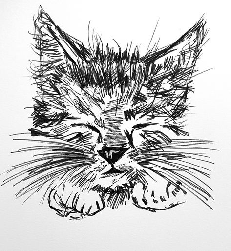 Cat kitten meow art messy squiggles fineliner black Cat Scribble Art, Cat Pen Sketch, Micron Pen Art Doodles Easy, Ink Cat Drawing, Black Fineliner Art, Messy Pen Art, Cat Pen Drawing, Pen And Ink Drawings Simple, Fineliner Art Illustration