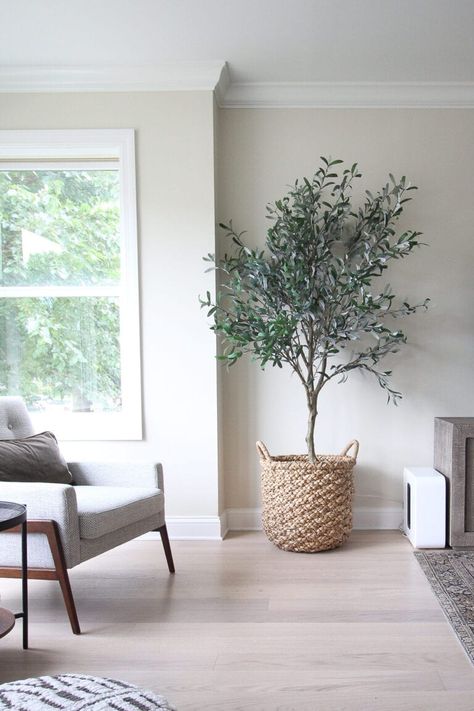 This faux olive tree adds some greenery to this living room. I love the height it brings to this corner along with the texture of the basket #fauxplant #plants #olivetree #tree #greenery #houseplants Neutral Couch, Faux Olive Tree, Diy Playbook, Living Room Design Decor, Boho Living Room, Olive Tree, Dream Decor, Room Layout, A Living Room