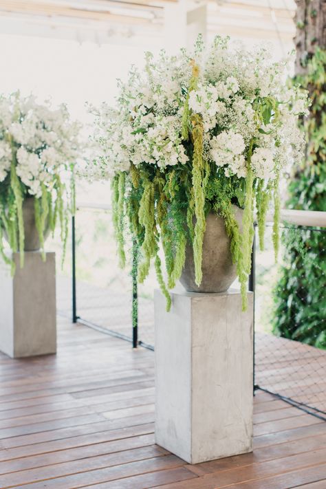 Amaranthus and White Delphinium Ceremony Accent Wedding Ceremony Flowers Altar, White Delphinium, Large Floral Arrangements, Church Flowers, Wedding Ceremony Flowers, Fresh Flowers Arrangements, Ceremony Decor, Ceremony Flowers, Wedding Arrangements