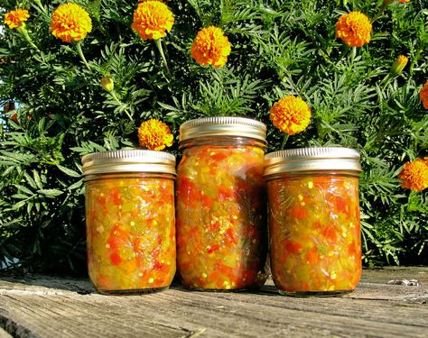 HOT Pepper Relish with the flavor of mexican corn relish...I use this always in my chili and tacos...now that I've run out, my dishes don't taste right :( Sweet Pepper Relish, Corn Relish Recipes, Hot Pepper Relish, Easy Stuffed Peppers, Canning 101, Corn Relish, Pepper Relish, Canning Vegetables, Canning Food