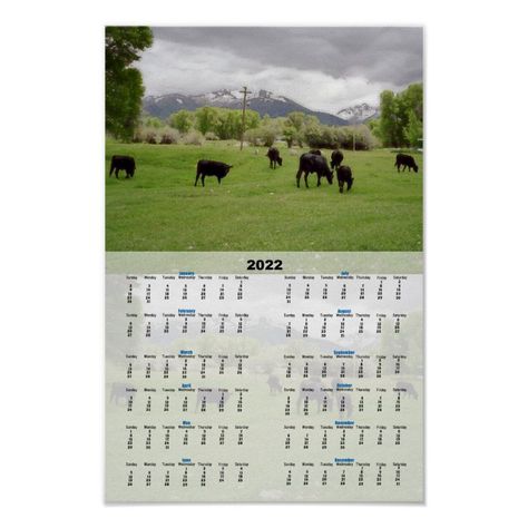 Grazing Cattle v2 2022 Calendar Poster - tap, personalize, buy right now! #ranch, #rural, #farm, #2022, #ranch Grazing Cattle, Calendar Poster, 2022 Calendar, Wall Calendars, Photo Calendar, Make Your Own Poster, Calendar Design, Modern Artwork, Wall Calendar