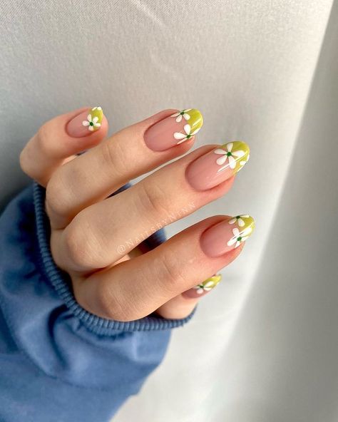 All Posts • Instagram Early Fall Nail Colors, Daisy Nail Art, Simple Spring Nails, French Tip Nail Designs, Spring Nail Designs, Cute Spring Nails, Daisy Nails, Round Nails, Spring Nail Art