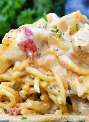 You searched for pasta - Page 3 of 11 - Gonna Want Seconds Chicken Spaghetti Recipe With Rotel, Mexican Chicken Spaghetti, Chicken Spaghetti With Rotel, Spaghetti With Rotel, Rotel Chicken, Rotel Chicken Spaghetti, Baked Chicken Spaghetti, Chicken Spaghetti Recipe, Rotel Recipes