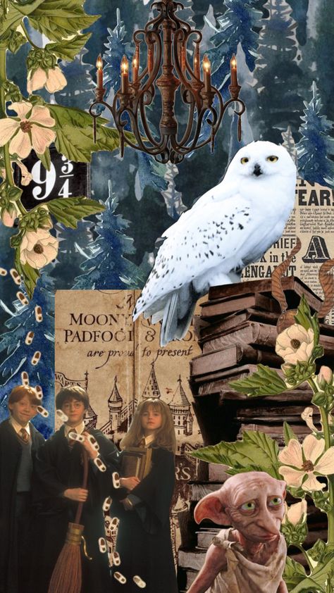 Hedwig Wallpaper, Dobby And Hedwig, Academia Aesthetic Books, Tiktok Wallpaper, Harry Potter Printables, Potter Aesthetic, Aesthetic Books, Harry Potter Aesthetic, Random Photos