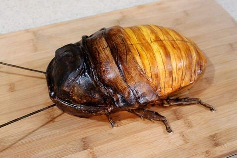 Madagascar Hissing Cockroach Cake - video how•to : Boing Boing #halloween #science #class  #grooms_cake Cockroach Cake, Hissing Cockroach, Madagascar Hissing Cockroach, Boston Cream Cake, Bug Cake, Cake Wrecks, Boston Cream, Tasty Chocolate Cake, Cream Filling